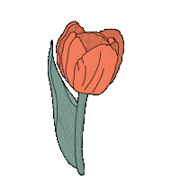 Flower Deco Sticker