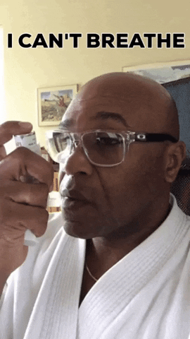 cufifoki giphyupload GIF