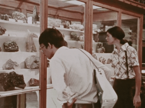 mcgill library museum GIF by McGill University