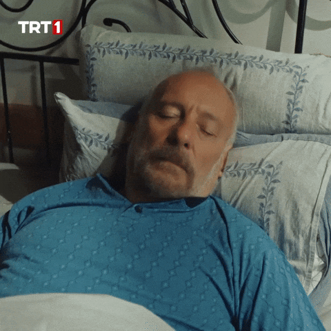 Sleep Sleeping GIF by TRT