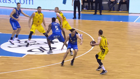 Liga Endesa Basketball GIF by ACB