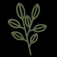 Plants Ast GIF by Nuok.ch