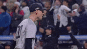 New York Yankees Hug GIF by MLB