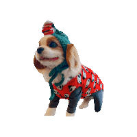 Dogs Sticker