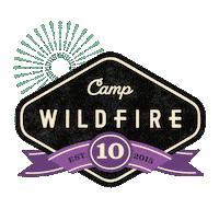 Fireworks Sticker by CampWildfire