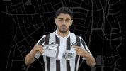Svs1916 GIF by SV Sandhausen