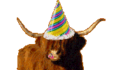 Celebrate Happy Birthday Sticker by Stickers