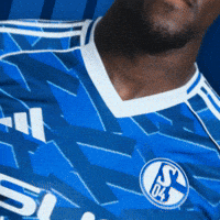 Football Soccer GIF by FC Schalke 04