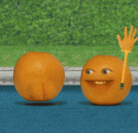 Orange Love GIF