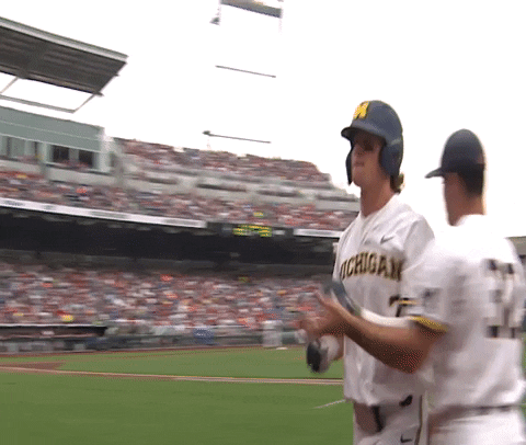 michigan baseball franklin GIF by Michigan Athletics