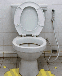 Clog Shark Week GIF by lilcozynostril