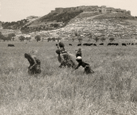 West Bank Farming GIF by Vintage 3D