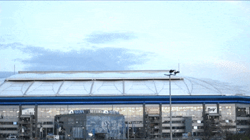 Football Soccer GIF by FC Schalke 04
