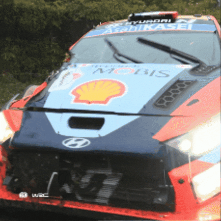 Car Crash Wtf GIF by FIA World Rally Championship