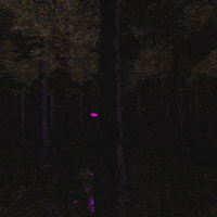 tippydreamer loop 3d trippy psychedelic GIF