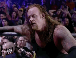 wrestlemania x-seven wrestling GIF by WWE