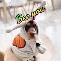 Snail Cute Puppy GIF