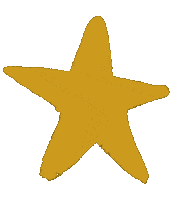 Star Estrella Sticker by aire retro