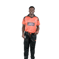 sunriserseasterncape cricket sec aya sunrisers Sticker