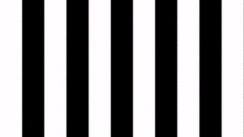 Sksturm Playmaker GIF by SK Sturm Graz