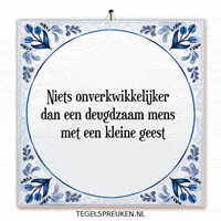 Humor Nl GIF by Tegelspreuken.nl