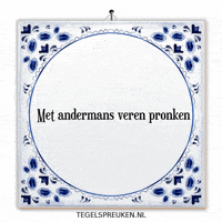 Humor Wijsheid GIF by Tegelspreuken.nl