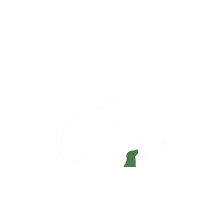 Vet Veterinaria Sticker by thenaturalvetsmx