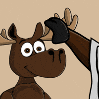DoYouMoose nft blockchain christian web3 GIF