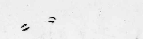 matthias brown GIF by TraceLoops