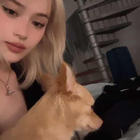 Cute Girl Dog GIF