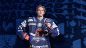 Celebration Hockey GIF by Iserlohn Roosters