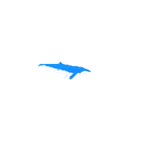 Blue Whale 3D Sticker by Zoom