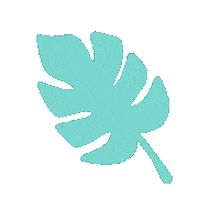 Summer Leaf Sticker