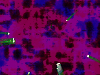 dance art GIF by MFD