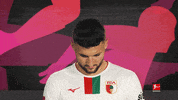 Fc Augsburg Football GIF by Bundesliga
