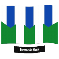 Castilla Y Leon Flag Sticker by Formación Ninja