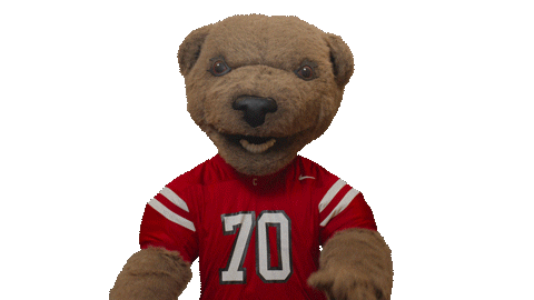 cornell university touchdown Sticker
