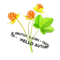 Fall Autumn Sticker