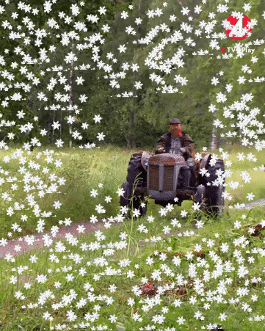 maxmartinussen giphygifmaker giphyattribution GIF