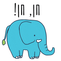 כלולה GIF by caloola