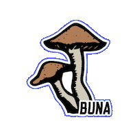 Coffee Mexico Sticker by Bunamx