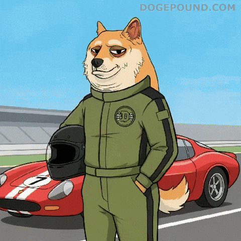 Posing Shiba Inu GIF by Doge Pound