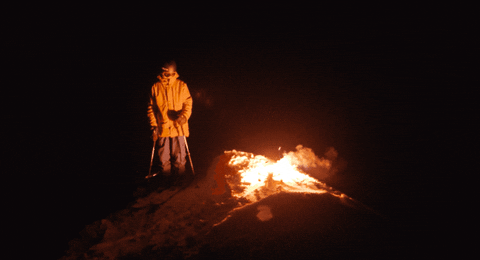 nicovuignier giphyupload GIF