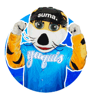 mexico baseball Sticker by Yaquis de Obregón