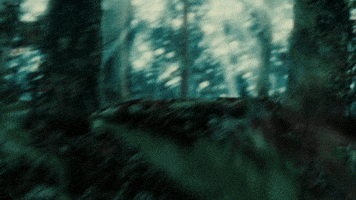 Twilight Saga GIF by Prime Video Comedy