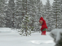 santa claus office christmas GIF by The Elves!