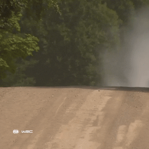 Jumping Fast Car GIF by FIA World Rally Championship