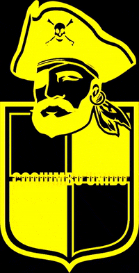 coquimbounido coquimbo aurinegro ahp coquimbo unido GIF