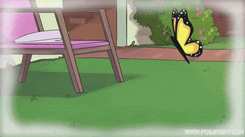 summer love GIF by Pugatory
