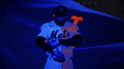 Home Run Baseball GIF by New York Mets